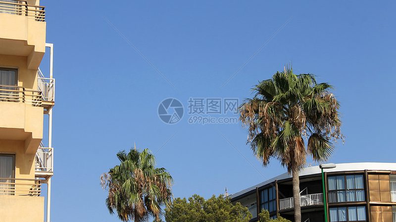 上海研学旅行机构排名背后的考量因素